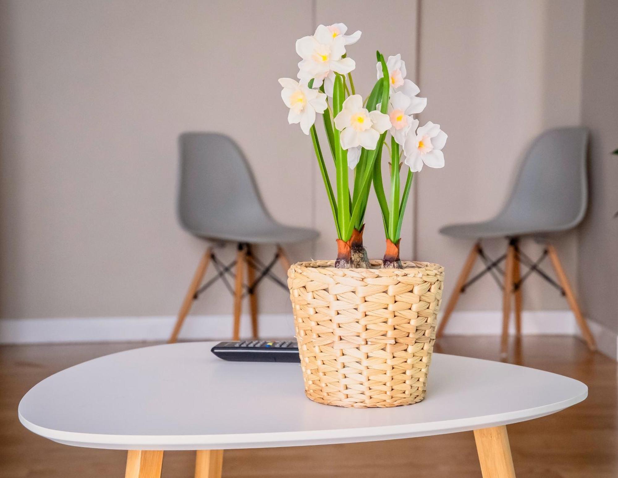 Santiago Tower Aire Ac Casco Antiguo By Apartamentos Logroño Zewnętrze zdjęcie